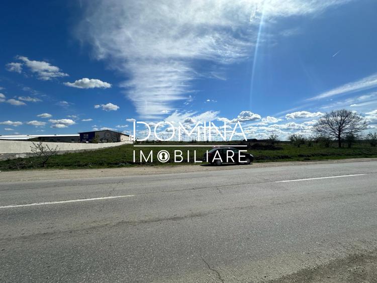 Vanzare teren intravilan 10.339 mp cu PUZ*dubla deschidere* - strada Narciselor  - 7