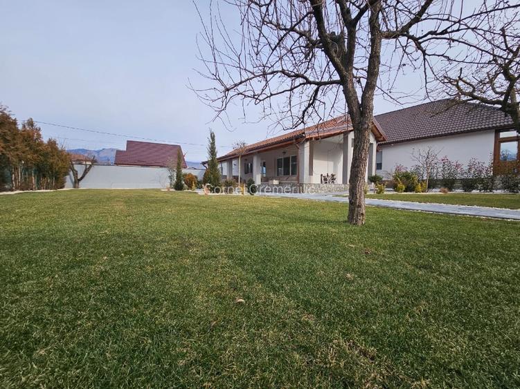 Pensiune Jiblea Veche  - 6