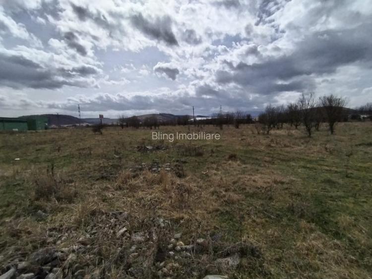 Teren de vanzare, 1.3HA., utilitati, acces din DN  - 4