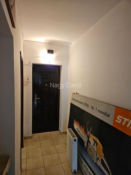 Apartament excelent pt CASA DE AMANET , SCHIMB VALUTAR , birouri - 5