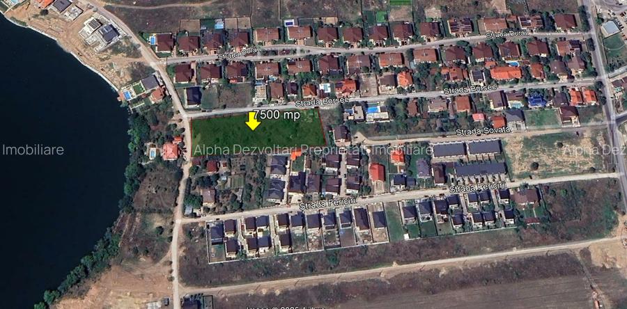 Teren intravilan 7500mp Strada Borsec Pantelimon - 2