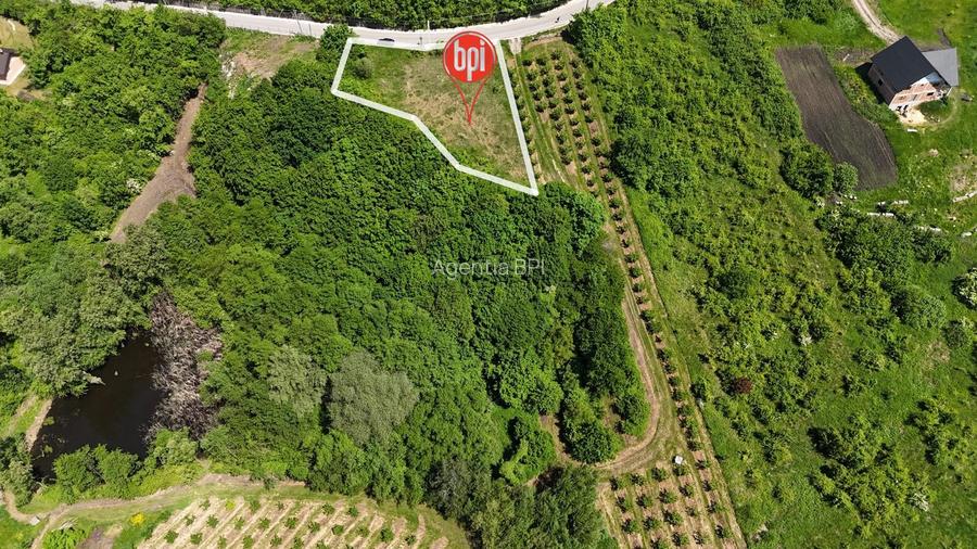 SE VINDE Teren INTRAVILAN de 1313mp si teren EXTRAVILAN de 18.687mp in RADADENI - 6