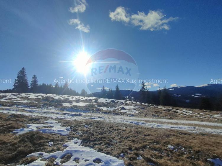 Teren  extravilan - 8