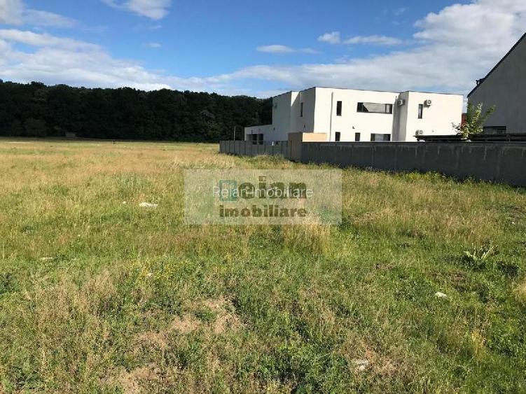 Voluntari - Matei Millo Padure teren 490 mp, d-22, curent - 2