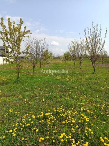 Teren parcelabil, intravilan, 6400mp cu casa renovata - ideal investitor  - 15