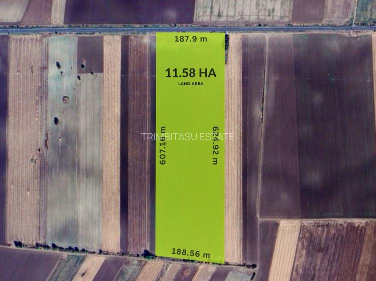 Teren folosinta conditii speciale | Oportunitate investitie | Nadlac - 4