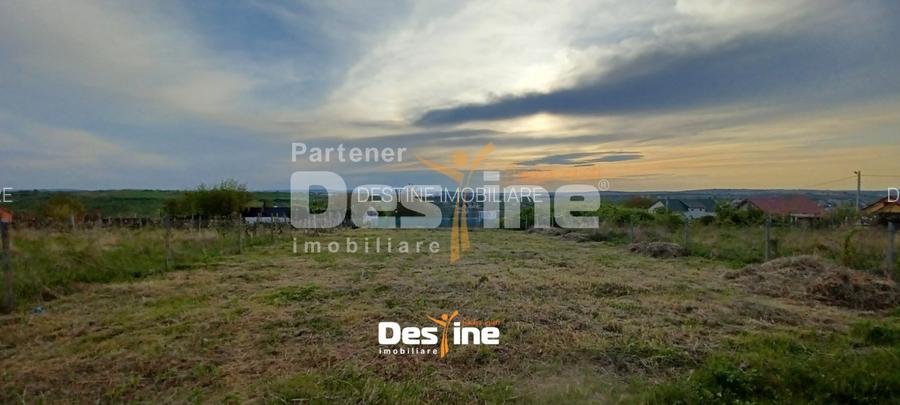 Bârnova - Teren Intravilan 974 Mp, utilitati, drum betonat - 4