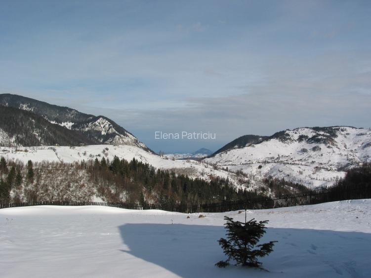 Sat Pestera,  Rezervatia Piatra Craiului, Brasov, Casa  plus teren 10 621 m - 2
