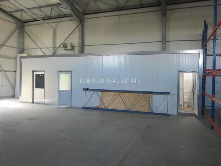 ZONA EST - Theodor Pallady - DRUMUL INTRE TARLALE - A2 - 5