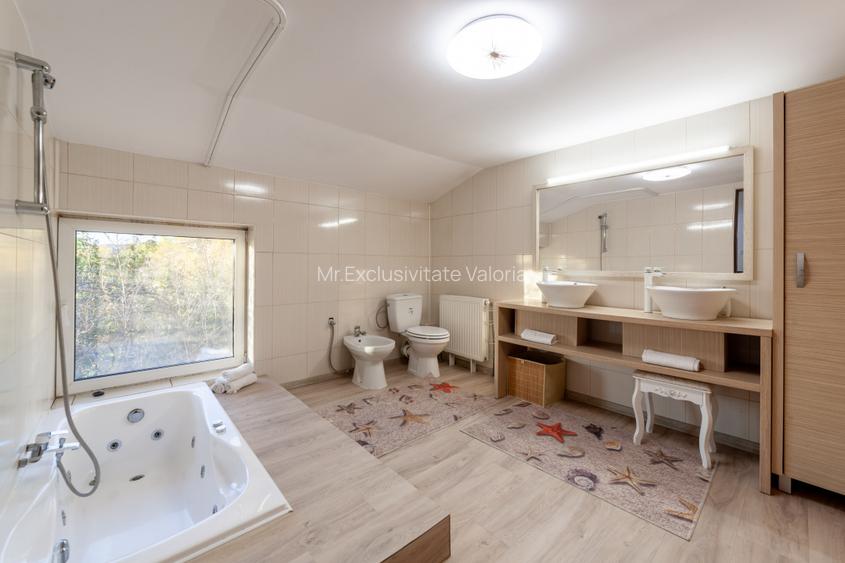 Casa cu priveliste - Stefanesti - 18