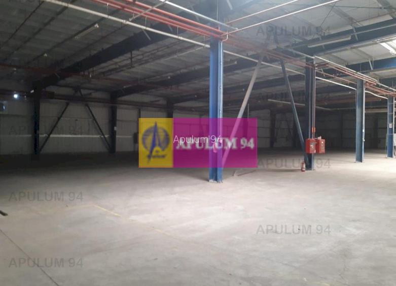 Spatiu Logistic langa Bucuresti Hala 5000 mp - 30