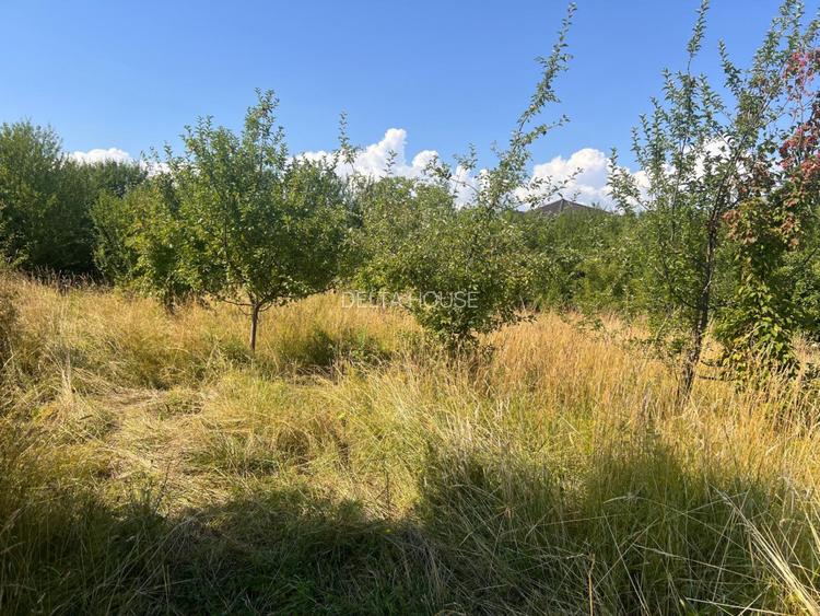 Teren cu PUZ zona strazii Macesului, ideal constructie casa - 2