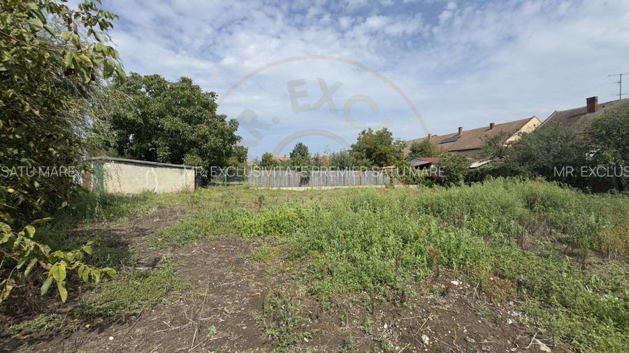 Cladire 12 incaperi, Teren 3.457 mp Str.Iuliu Maniu Nr.13 -Carei- Jud. Satu Mare - 8