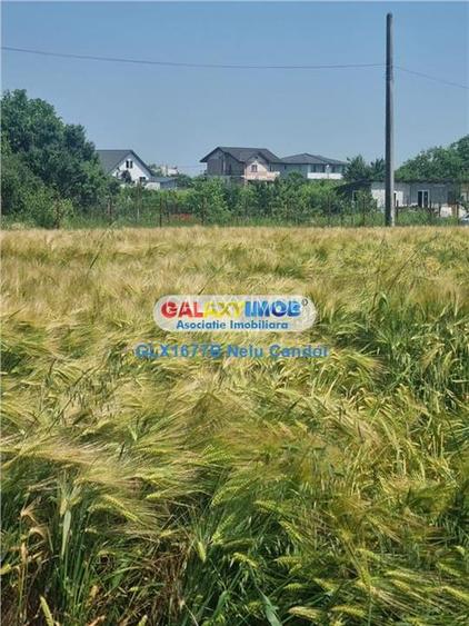 VANZARE TEREN INTRAVILAN 10000 MP  COMUNA BERCENI - 4