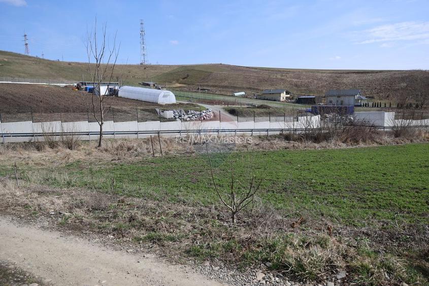 Teren 3,500mp Moara / Strada Pprincipala - 7