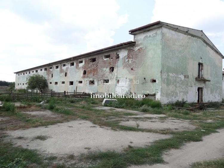 Teren 18.400 mp cu 4 hale P+E pe Artera principala vizavi de Metro-Momax - 31