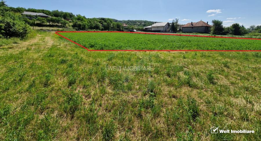 Teren intravilan 2000 mp – Popesti (Baciu) Ideal pentru casă, grădină și livada - 4