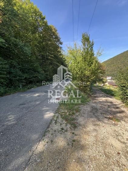 Teren extravilan de vânzare – Lacul Cinciș - 2