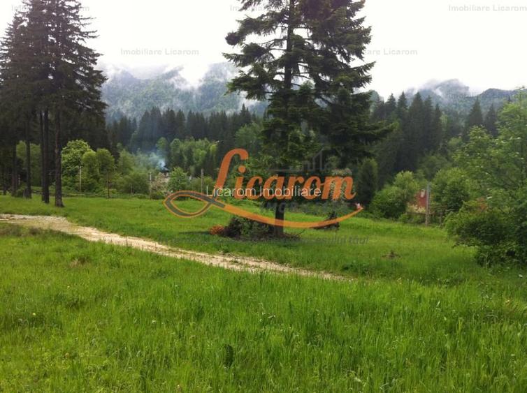 Teren intravilan Cotul Donului,pretabil Hotel/pensiune. - 4