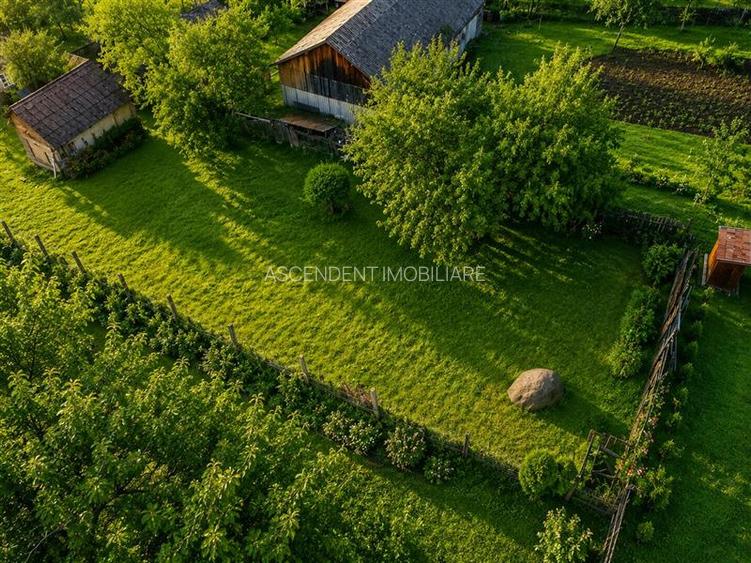 FILM! Gospodarie cu atmosfera traditionala,1.032 mp de verde si gradinarit, Sanz - 5
