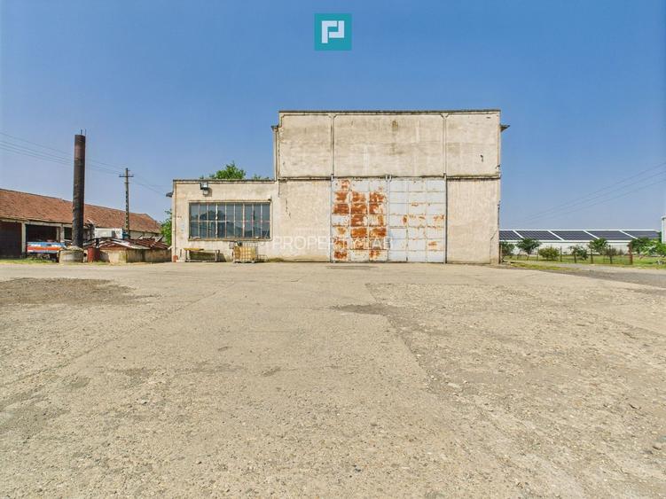 Complex industrial cu hale și teren  în Orțișoara - 35