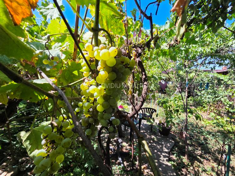 Crangasi, Lacul Morii, casa individuala 230 mp utili, 510 mp teren - 35