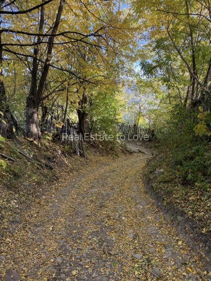 Teren retras panoramic cu panta lina, utilitati si copaci mari - 11