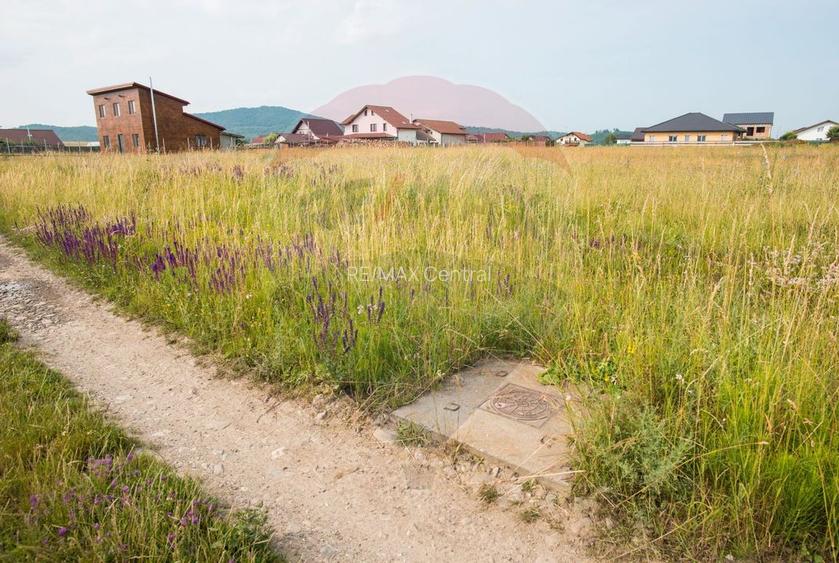 Teren Bod -Strada Harmanului, 732mp, posibil 1098mp/ 2196mp, utilitati - 14