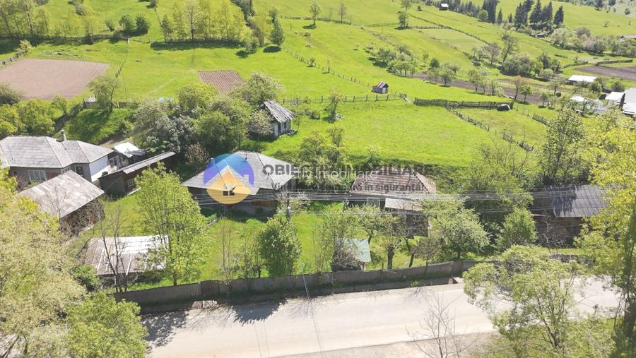 CASA traditionala BICAZU ARDELEAN + teren extravilan 1,6 hectare - 3