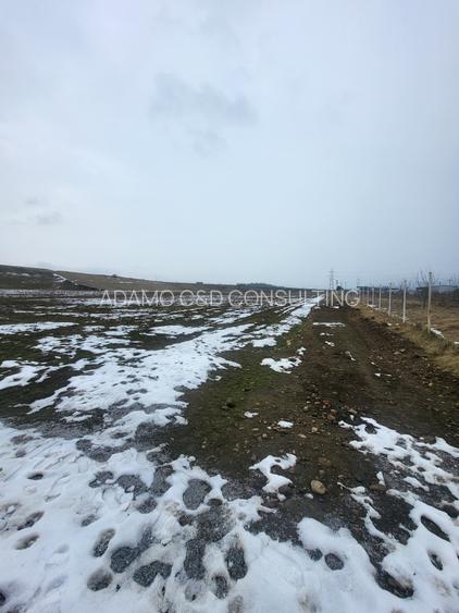 Vand teren constructii hale cu acces la autostrada - 3