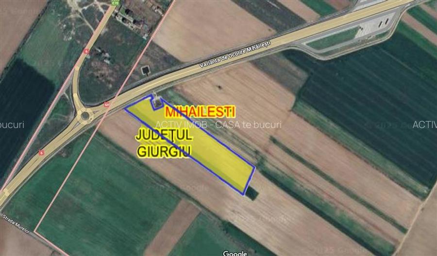 9 ha, Intravilan, Centura Mihailesti, Barter, Joint Venture sau Vanzare - 3