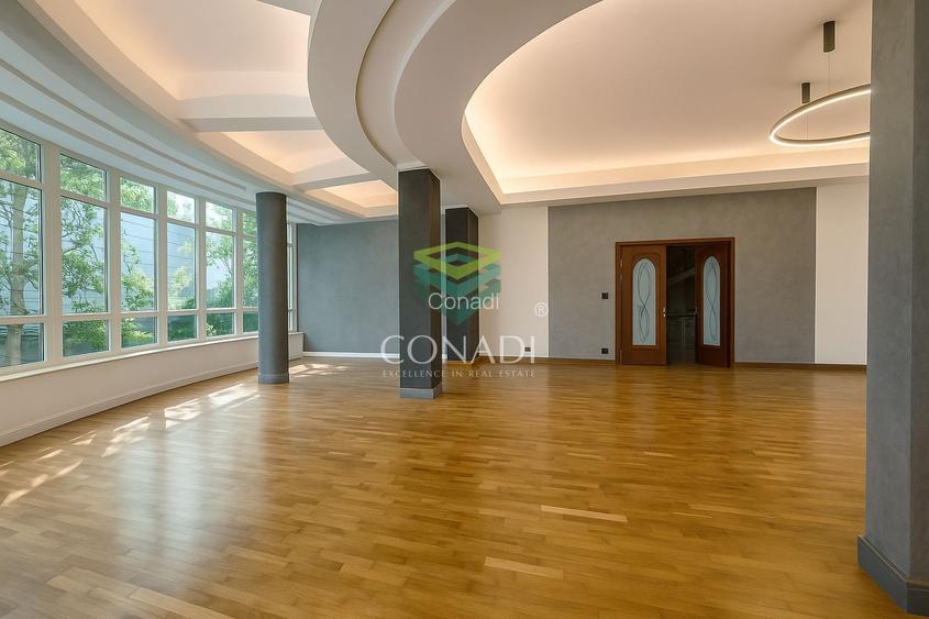 Herastrau, imobil de birouri de inchiriat, 545 mp utili - 6