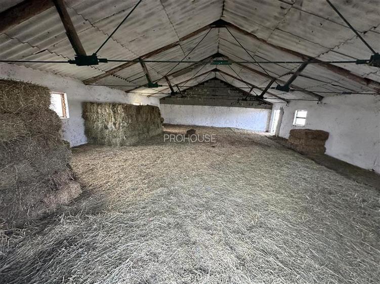 Platforma industriala 27.000mp - Racova - Buhusi - 8