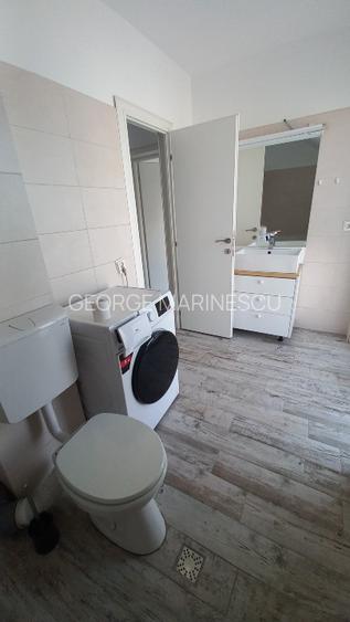Închiriez casă spațioasă, cu curte generoasă, gazon, pomi, sector1, Henry Coandă - 8