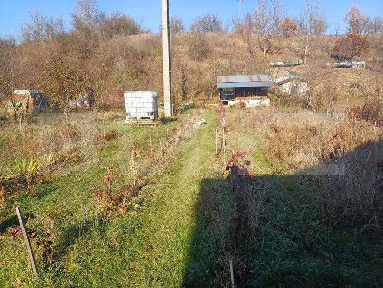 Casa + 20 arii teren, distanta 30 km de Bistrita