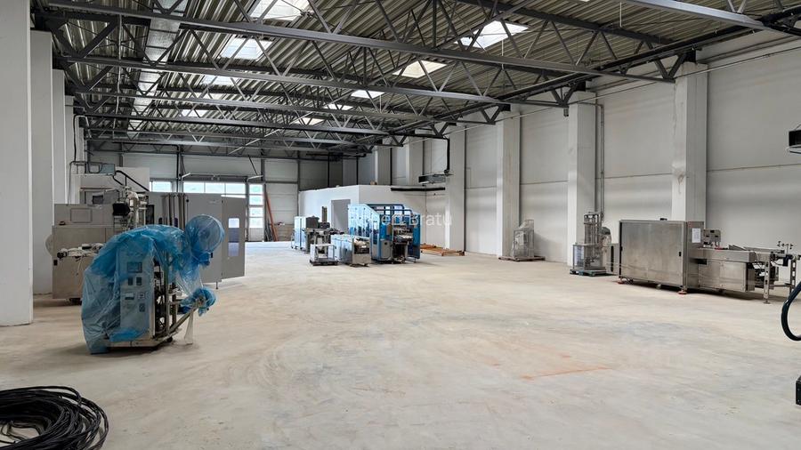 Hală industrială in Valu lui Traian  7.646 mp desfășurați si teren de 35000mp - 5