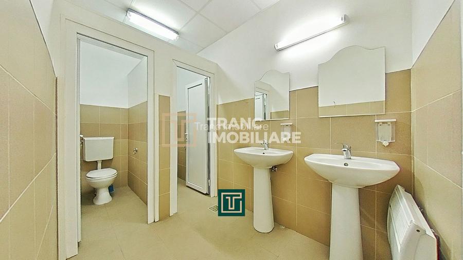 Hală industrială 704 mp de vânzare în Zona Industrială Sud Arad – acces TIR și r - 9