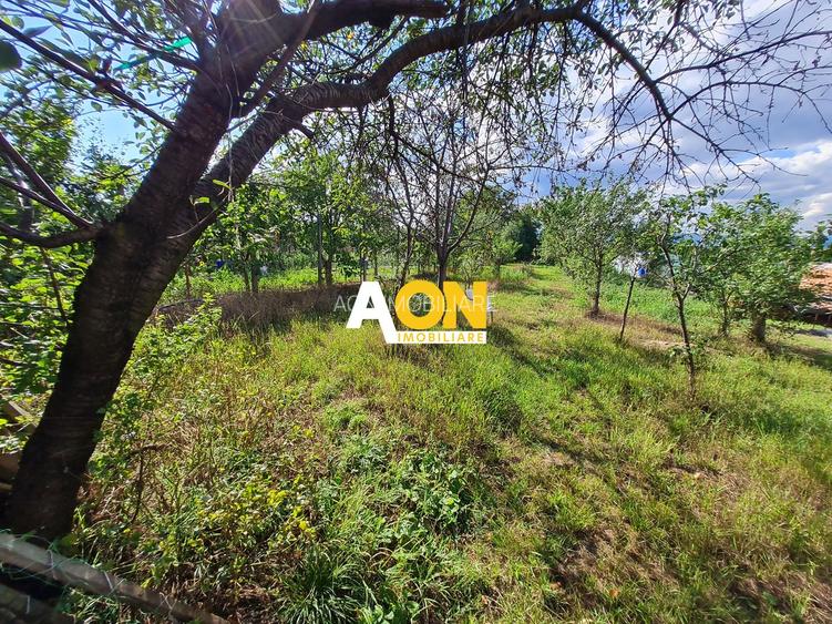 Casa 2 Camere, Teren 1081 mp, Ciugud - 11