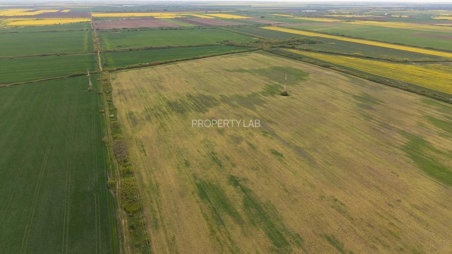 Teren investițional strategic 44.700 mp Arad Vest - 14