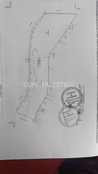 Teren de vânzare 30.000 mp oportunitate investiție - 3