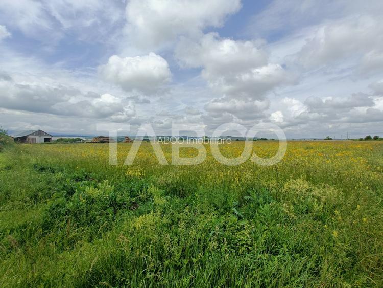 Teren de vanzare in zona Parcului Industrial Sura Mica cu acces camion - 4