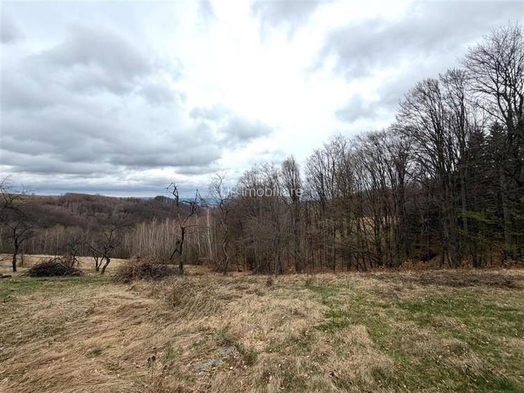 TEREN 34.000 MP | SERANI BIHOR - 4