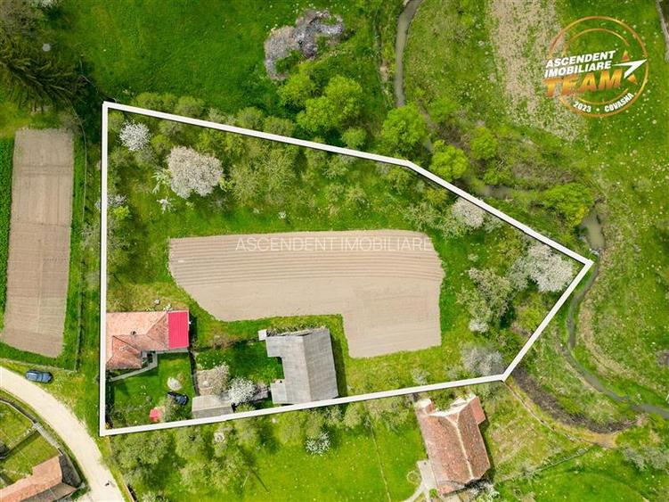 Casa cu farmec rustic + teren privat de 3.315 mp, Borosneul Mic, Covasna - 7