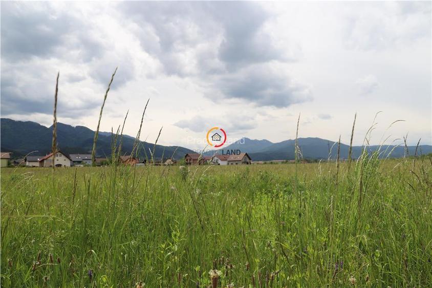 teren  intravilan13100 mp pentru dezvoltare imobiliara - 3