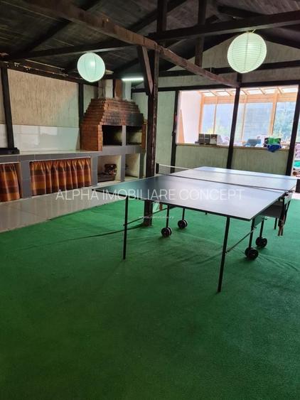 23 August - Pensiune 10 camere afacere la cheie - 18