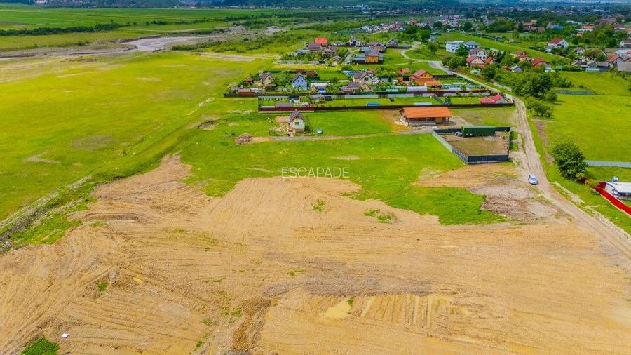 Teren intravilan 1450 mp – Carpiniș , Ideal pentru casă de locuit - 15