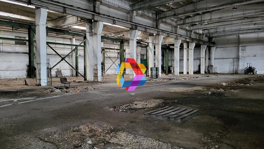 Hala - 1137 mp  # plus-imo.ro - 6