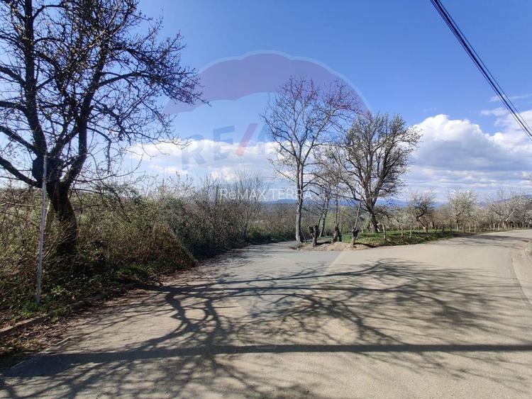 Teren intravilan pentru casă Cărbunari - 8