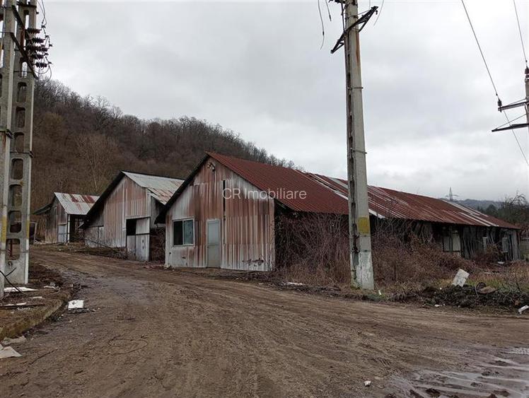 Spatii industriale pe teren de 11043 mp Daesti Valcea - 11