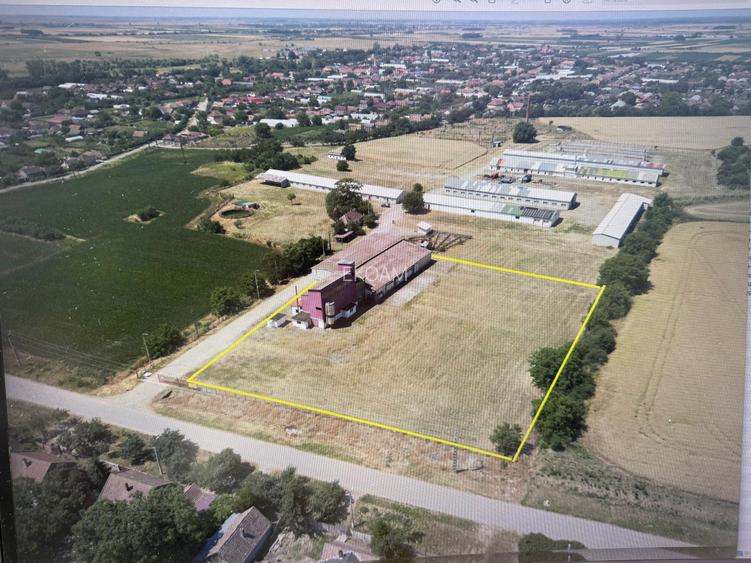 Fabrică de nutrețuri combinate - 3